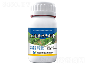 ���[�S�~�ɼ��-���䌍�I