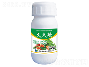 �V�V���~���-�þþG-���䌍�I 