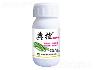 �|�������{����-���-���䌍�I