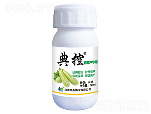 �����J�����{����-���-���䌍�I