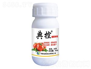 ���ь����{����-���-���䌍�I