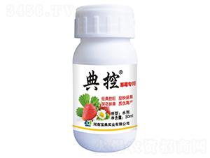 ��ݮ�����{����-���-���䌍�I