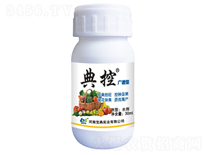 �V�V���{����-���-���䌍�I