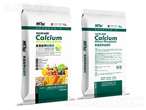 �S����⛹����}-������-�������