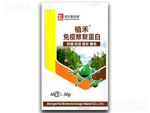 �����ޏ͵���-ֲ��-�̩