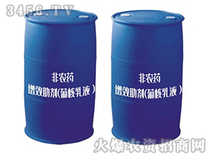 ��Ч�������Ϻ���Һ��-����̩