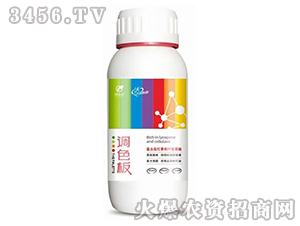 �{ɫ��-�����