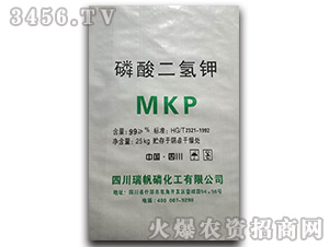 ��������-����