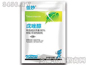 ����-����-̩�̻���