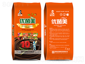 ΢�������-������-����