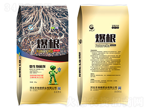 ΢�������-����-����