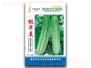 �O����-�S�ϷN��-�����r��