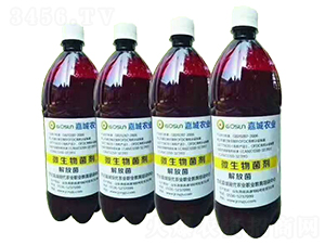 ΢�������-��ž�-�γ��r�I