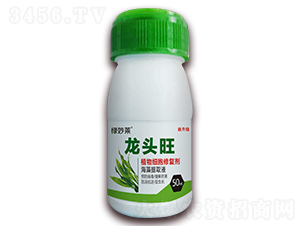 ֲ�：���ޏ̈́�-���^��-������A