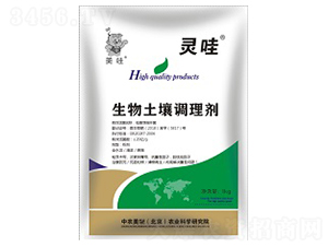 ���������{�턩-�`��-���r����