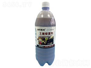 �����ޏ̈́�-�ο�ֲ��-������