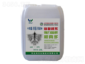 �����-�c������