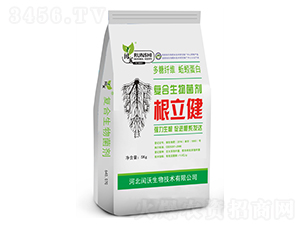 �ͺ��������-������-�c������