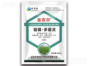 ��ǡ�����`-ʥ����-�r���_