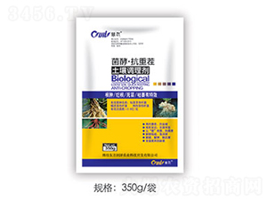 ���͡����ز������{����-�䠖-�|������