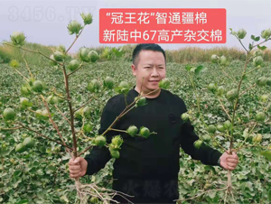 �����67�߮a�ޡ�Ч���D��-���SԪ