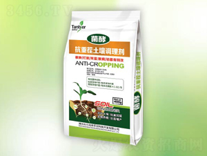 ���ز������{�턩-�䠖-�|������