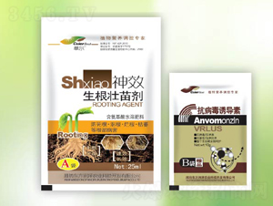 �������焩-�|������