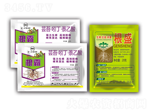 ��ʢ+����-�滯���h