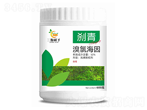 50%���Ⱥ������v�w����-�x��-���w����