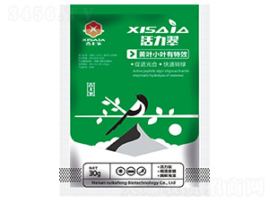 �����䣨�S�~С�~��Ч��-ϲ�ϼ�-����S