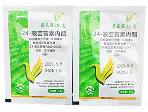 24-���|̦�؃���-�ᘷ��28-��-��ֲ���A