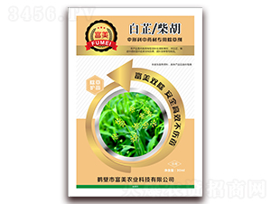 ���Ʋ�����ο���ˎ�ĳ��݄�-����