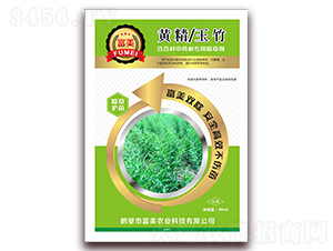 �S���ٺϿ���ˎ�ĳ��݄�-����