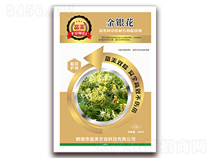 ���y���̶�����ˎ�ĳ��݄�-����