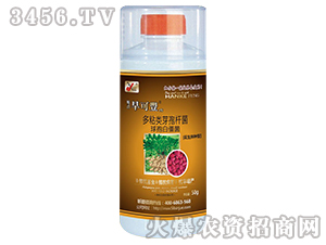 ��ճ�(l��i)ѿ�ߗU�����߰׽���-������N��-꿾�