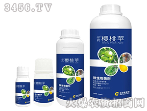 ΢�������-��ˎ�����O(p��ng)-���ý�