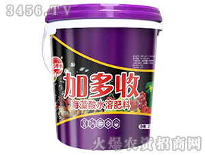 加多收海藻酸水溶肥料-田園季豐-大豐肥業