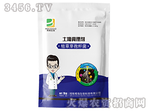 �����{�턩-��������