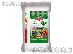 �Ż�-�{����-�W�¸�