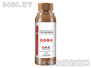 �r�Ú������M��-���O-�_��������