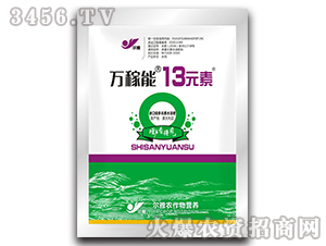 �f����13Ԫ�أ����b��-Ǭ�r