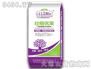 ����ֲ��ˮ�ܷ���-�Ѹ�����-ِ������