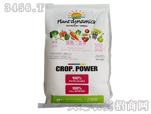 �������⛣�10kg��-��������