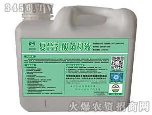 �ͺ������ĸҺ-��������