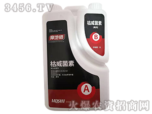 ��������΢�������-Ħ�؎�-�������r(n��ng)