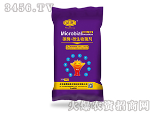 ̼ø��΢���������5�|/�ˣ�-���