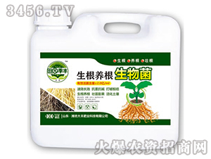 �����B�������-��@���S-���S�ʘI