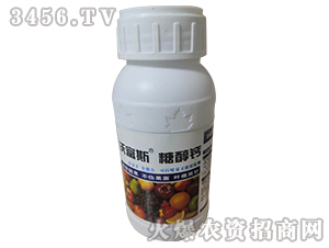 �Ǵ��}-�ָ�˹-���r����