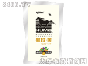 ����ʸ�ֲ��ˮ�ܷ���-�ڬ����S1888+TE-�S(li��n)�r(n��ng)�I(y��)