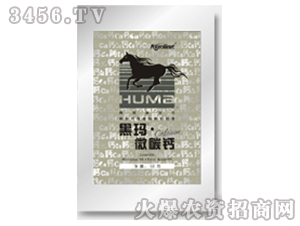 ��ֲ���ЙC�}��-�ڬ���΢̼�}-�S�r�I 